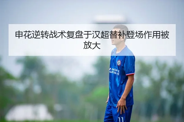申花逆转战术复盘于汉超替补登场作用被放大